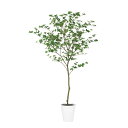 この商品は人口観葉植物です。[サイズ]：H200×W120×D120cm[仕様]：器　SA-10　ポリプロピレン製（サンド仕上げ）※こちらの商品は他の商品と同時にご注文できません。お手数ですが別々にご購入ください。●この商品は、「別送品」商品です。出荷作業のために、ご入力いただいたお客さまのお名前、お届け先情報を出荷先に開示します。ご了承くださいますようお願い申し上げます。なお、出荷情報としてのみ使用し、その他の使用は一切行いません。●北海道・沖縄・離島への配送はいたしかねます。●この商品は、配送地域や場所によっては、別途送料が必要な場合がございます。別途送料が発生する場合には、こちらからご連絡を差し上げますので、予めご了承ください。