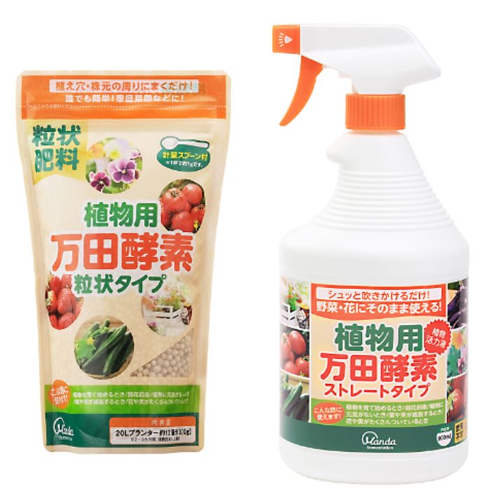 �����ꥹ������� ��ʪ�����Ĺ��� ���å���