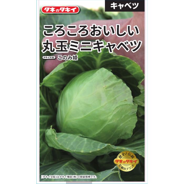 タキイ種苗 キャベツ ミニキャベツ　このみ姫のサムネイル