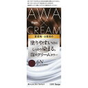 hoyu ビゲン 泡クリームカラー ダークブラウン 色番6N 白髪用 ヘアカラー 90g