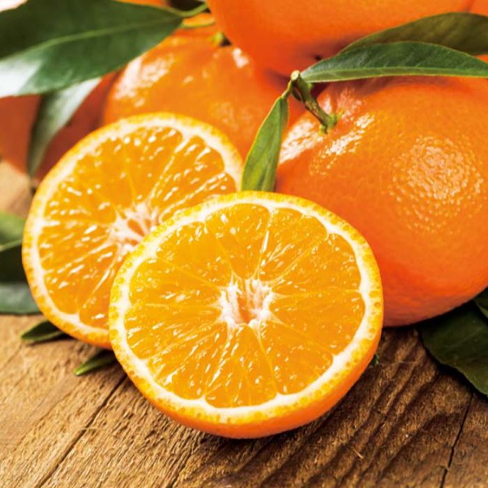 【Q13ー3A】【お歳暮】和歌山県産 有田みかんー承り締切：2024年12月12日