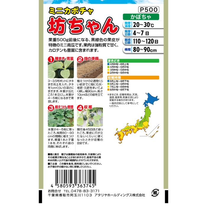 アタリヤ農園 かぼちゃ 坊ちゃん