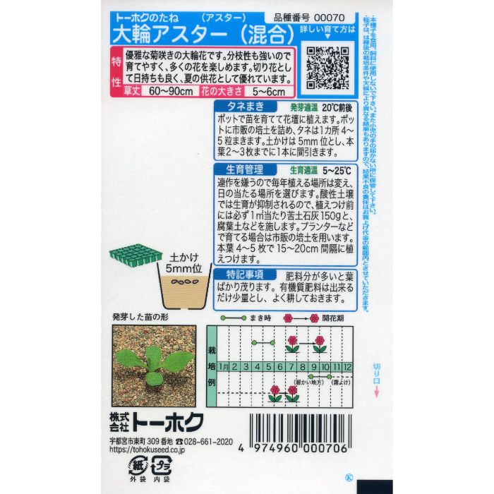 アスター 大輪アスター混合