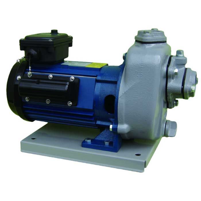 寺田ポンプ 陸上ポンプ MPT3-0071R　60Hz