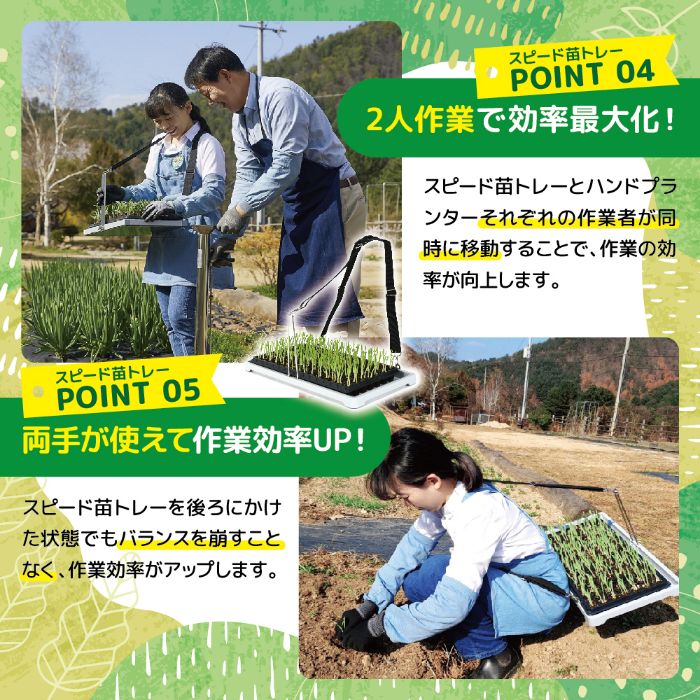 平城商事 KSスピード苗トレー KS—NT