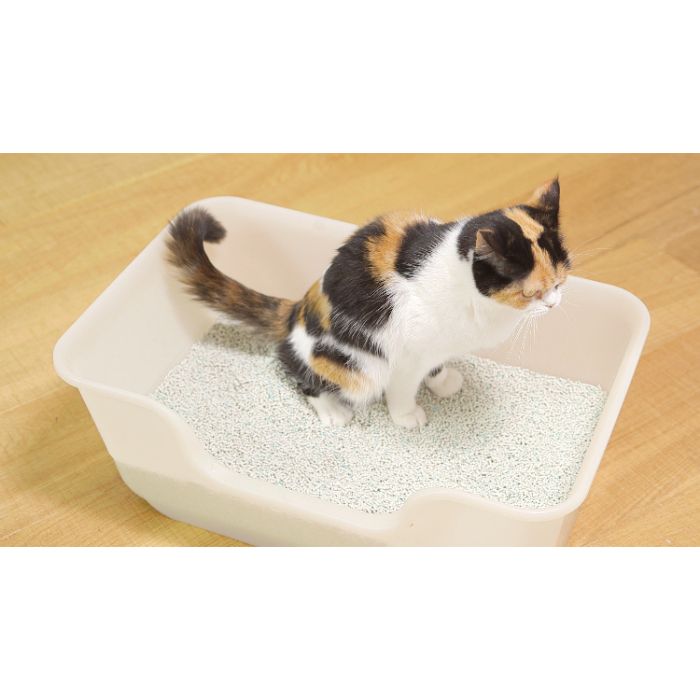 ホームプラザナフコ楽天市場店のライオンペット ニオイをとる砂　獣医師開発猫トイレスタートセット 1個/2袋｜アングル2