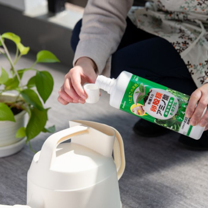 ENEGGO �������ʥ֥�ʴ��տ�ʪ�ѡ� 800ml