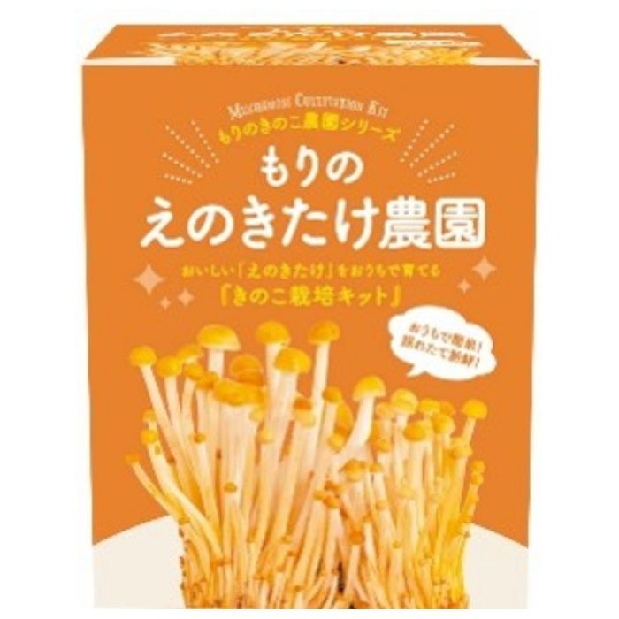 家庭用栽培キット もりのえのきたけ農園