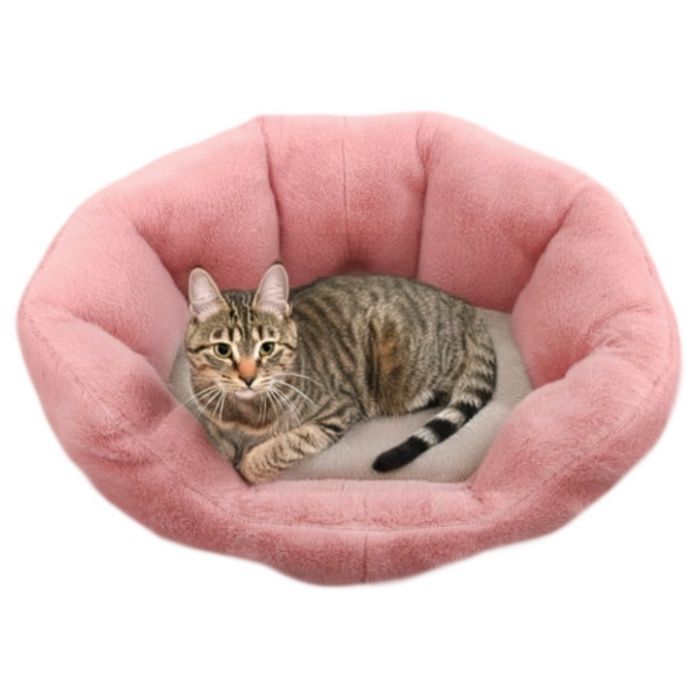 �ʥե� ���ä�����ӥåȥե�����������٥å� ��ѥ� PI