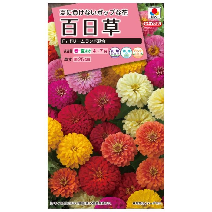 タキイ種苗 ジニア（百日草） 百日草F1ドリームランド混合