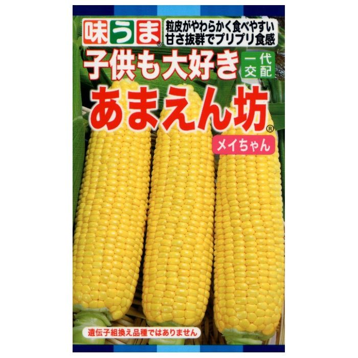 トウモロコシ あまえん坊　メイちゃん