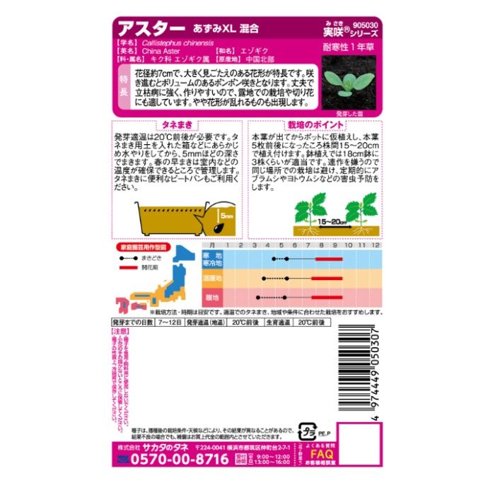サカタのタネ 花の大きなアスター あずみXL　混合