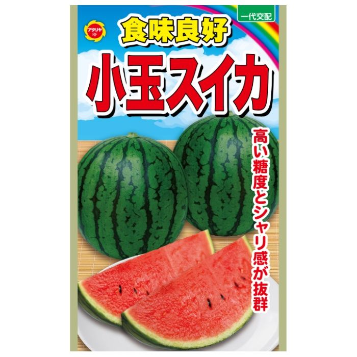 縞模様が鮮明な薄皮の小玉スイカで、甘さ抜群のおいしさ