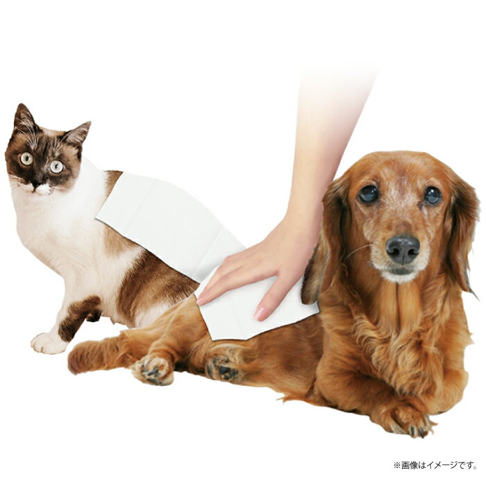 ナフコ ペットシャンプー&トリートメントタオル...の紹介画像2