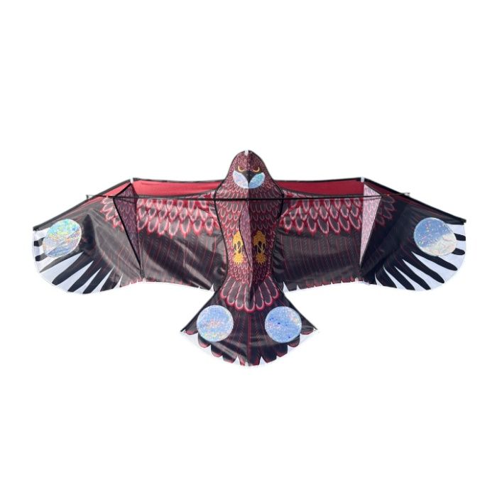 ʡ������ N����������ߥ� ����2m