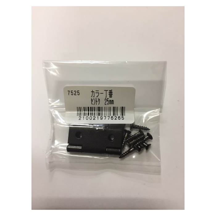 カラー丁番　セントク(2枚袋入)25o セントク　25mm