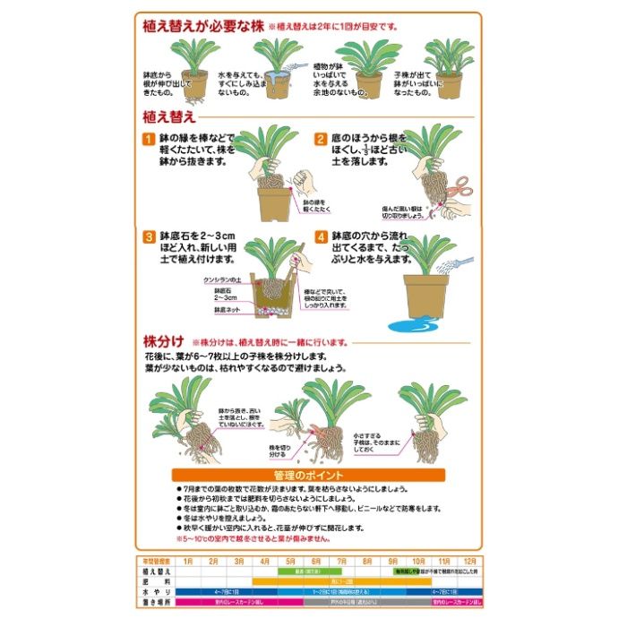 花ごころ クンシランの土 10L