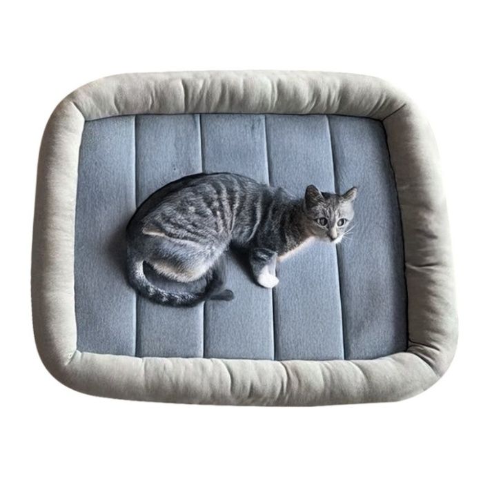 �Ҥ�������������褻�٥å� ��ӡ��� GY