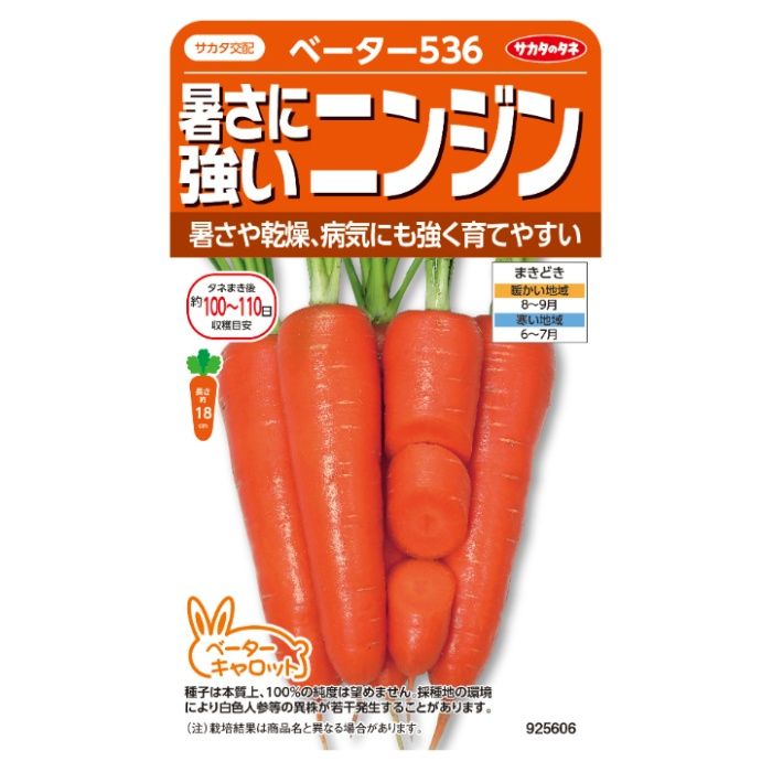 夏まきに適した育てやすいニンジン