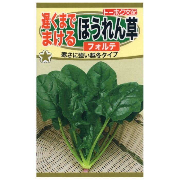抜群の耐寒性で冬から春先においしいほうれん草が収穫できます。厳寒期に起こる葉軸の傷みや葉の色抜けもなく、じっくりとした生育で収穫適期も長く、秋の遅まきに最適な品種です。