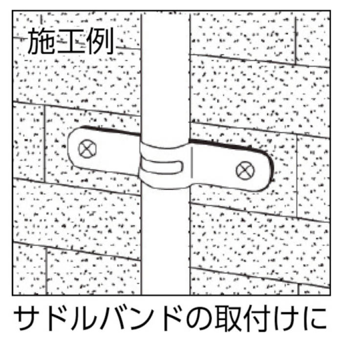 (T)エビ　プラグレスビス(200本入)　皿頭ステンレス　4.0X25mm 2