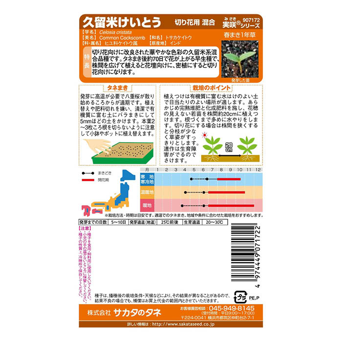 サカタのタネ 久留米けいとう 切花用混合