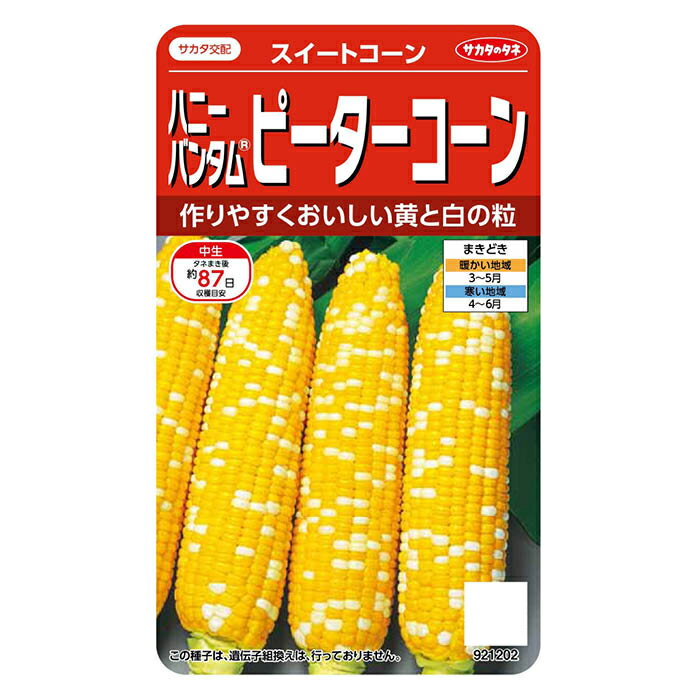 【エントリーでポイント10倍】サカタのタネ ハニーバンタムピーターコーン スイートコーン【2024/6/4 20時 - 6/11 1時59分】