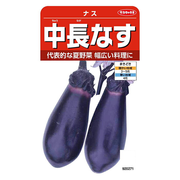 サカタのタネ 中長なす ナス