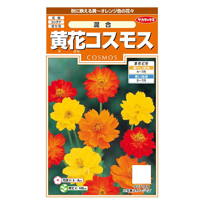 サカタのタネ 黄花コスモス 混合