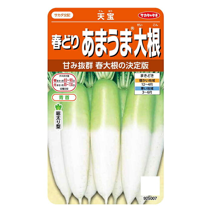 サカタのタネ 春どりあまうま大根 天宝