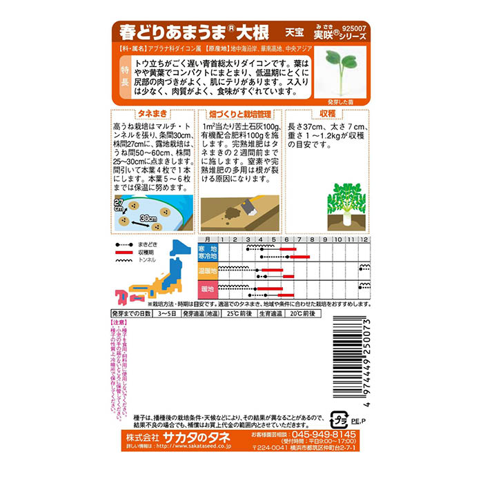 サカタのタネ 春どりあまうま大根 天宝