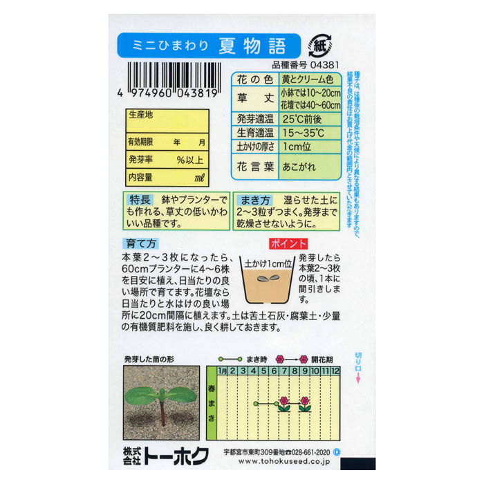 ミニひまわり 夏物語