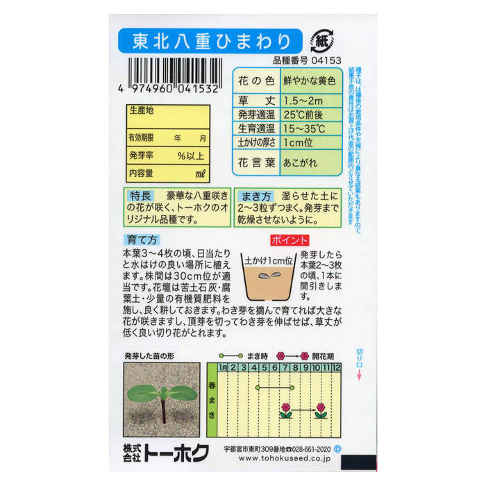 東北八重ひまわり