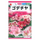 ゴデチヤ