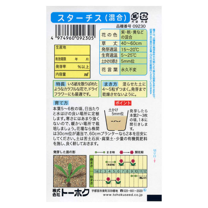 ����������(����)