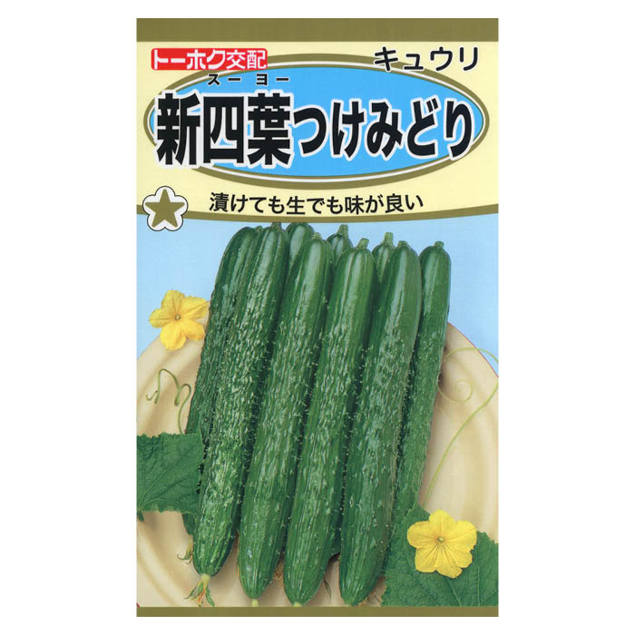 [特長]：■歯切れの良さが定評の四葉キュウリ。■一段と作りやすくなった改良系です。