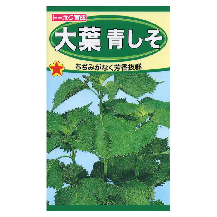 �����Ĥ���