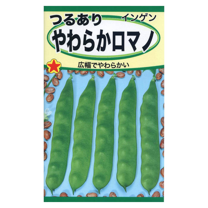 つるありインゲン やわらかロマノ