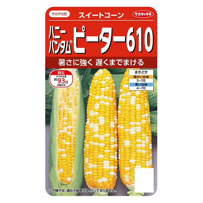 サカタのタネ ハニーバンタムピーター610 スイートコーン