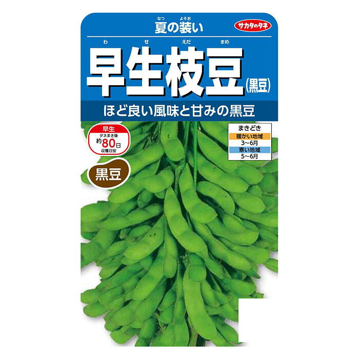 サカタのタネ 早生枝豆(黒豆) 夏の装い