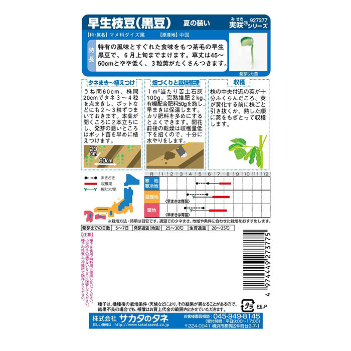 サカタのタネ 早生枝豆(黒豆) 夏の装い