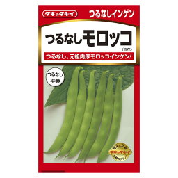 タネのタキイ インゲン つるなしモロッコ