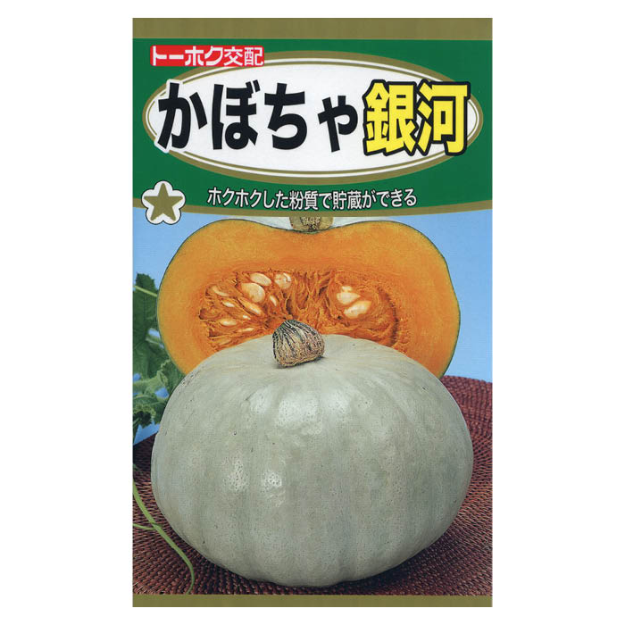 かぼちゃ 銀河