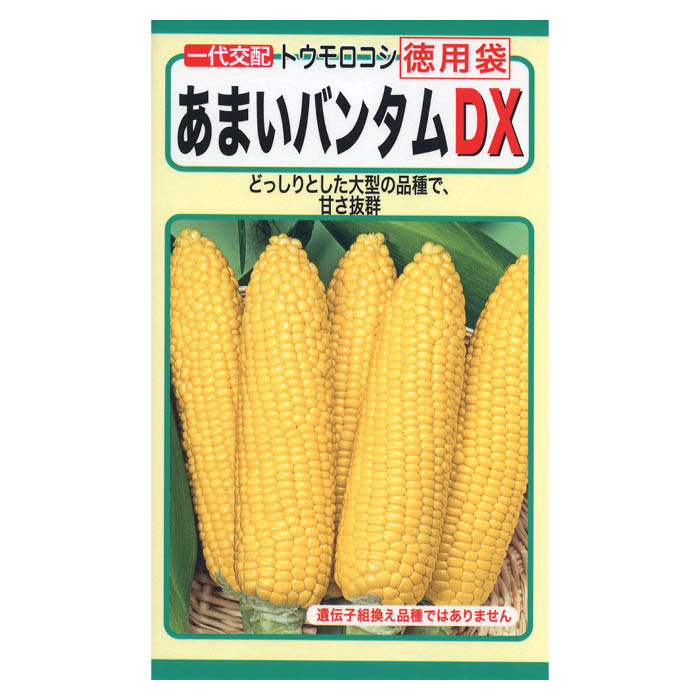 トウモロコシ あまいバンタムDX徳用