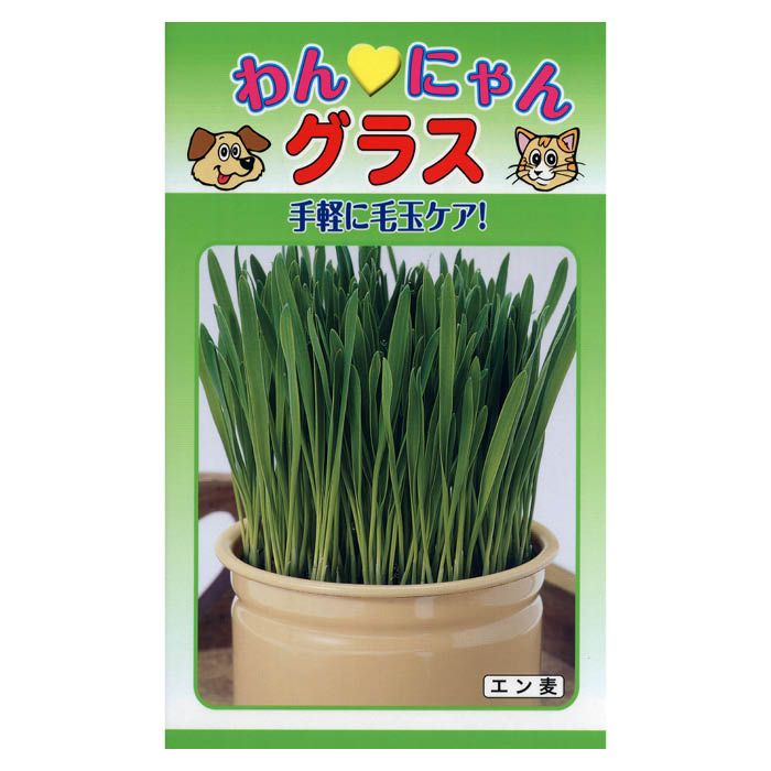 ペットの毛玉ケア専用のエン麦です。[特長]:■ペットの毛玉ケア専用植物。■育てた若葉を与えて毛玉を吐き出させます。※蒔き時期、収穫・開花時期等はパッケージ裏面の記載をご確認ください。※育成目安については、環境による変動があるため、これを保証するものではございません。※内容量、生産地、発芽率、有効期限などについては、種の生産時期によって変わる場合がございます。