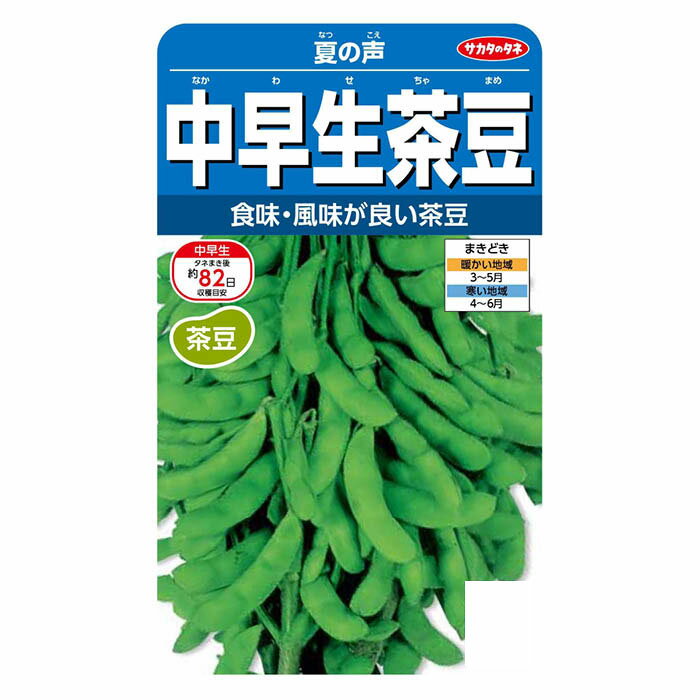 サカタのタネ 中早生�