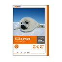 キョクトウ・アソシエイツ かんがえる学習帳B5 こくご 15マス L83R(3)