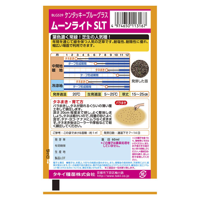 芝生 ケンタッキーブルーグラス