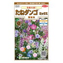 サカタのタネ 花絵の具 たねダンゴ ミックス(秋まき)