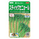 アスパラガスに似た食感と甘み[特長]:■アスパラガスに似た食感と甘み※蒔き時期、収穫・開花時期等はパッケージ裏面の記載をご確認ください。※育成目安については、環境による変動があるため、これを保証するものではございません。※内容量、生産地、発芽率、有効期限などについては、種の生産時期によって変わる場合がございます。